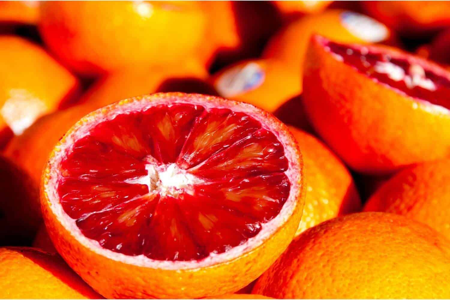 قیمت پرتقال خونی جنوب